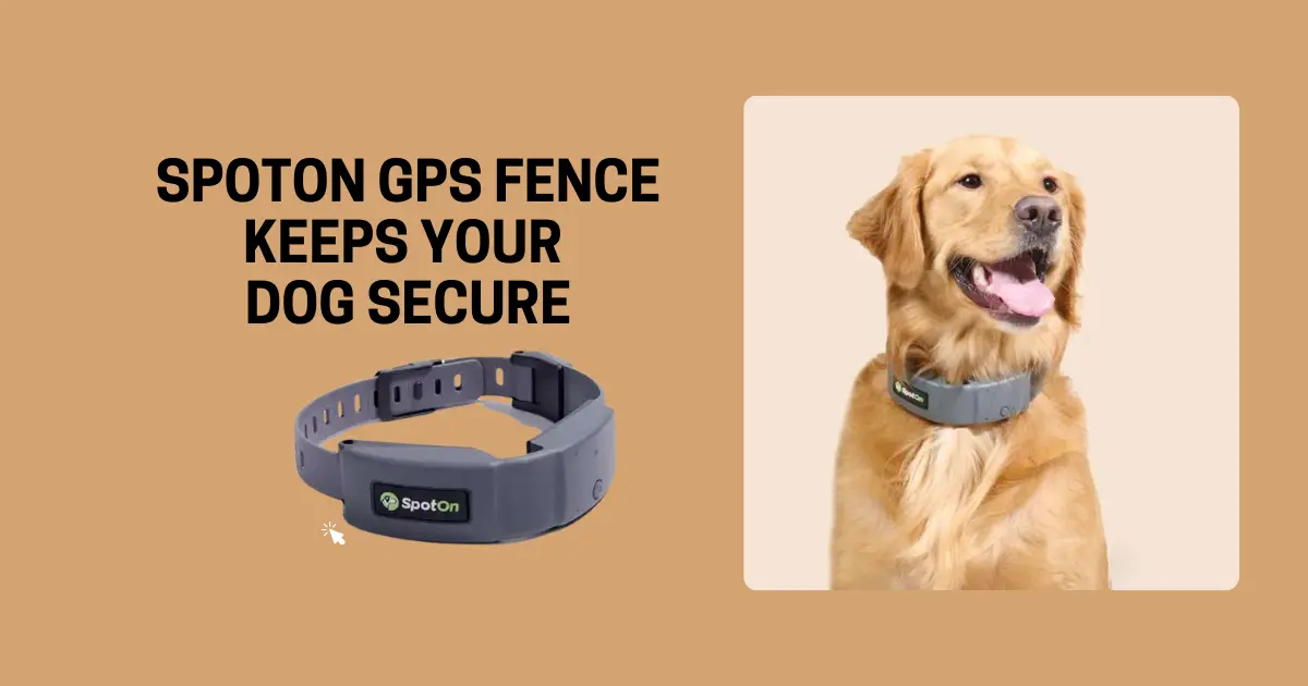SpotOn GPS Fence Keeps Your Dog Secure