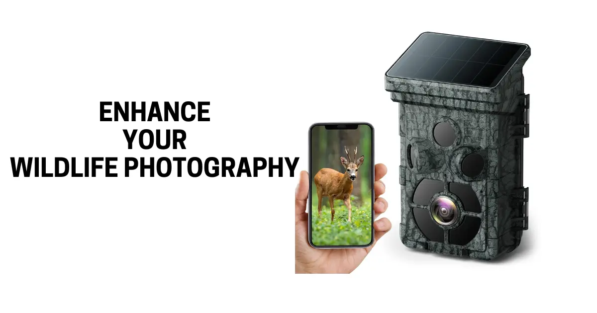 Trail Camera Solar Enhance your Wildlife Photography