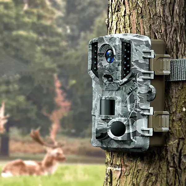 Trail camera for wildlife photography